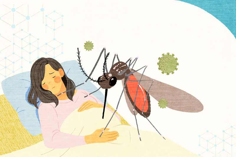 夏季安全驅蚊有必要 夏季安全驅蚊有必要